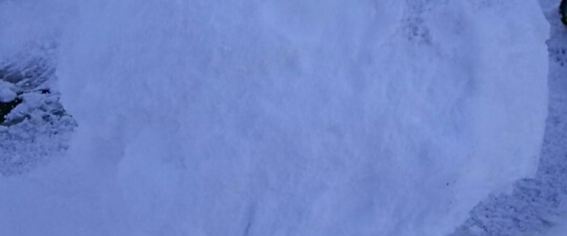 1/20　新入庫車情報～☆の画像