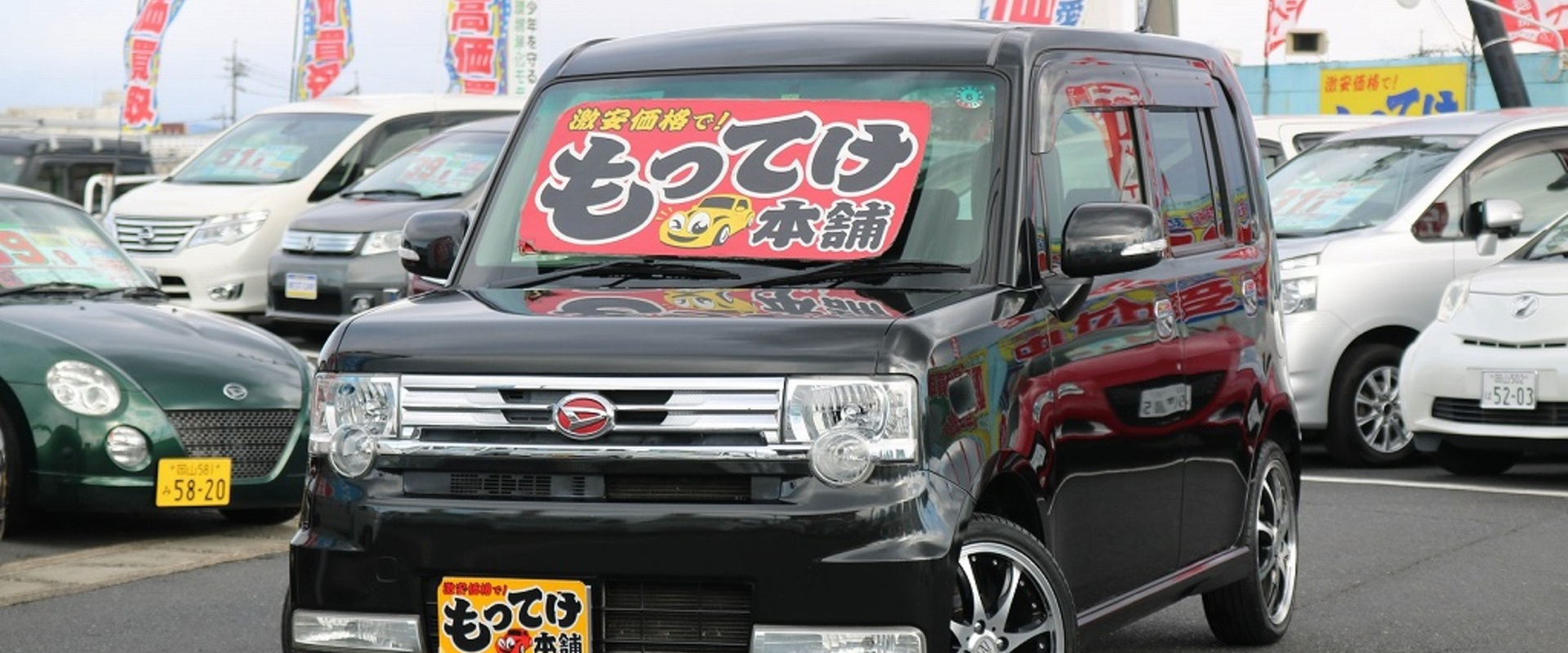 ●゜〇。●　新入庫　ご紹介します　●。〇゜●の画像